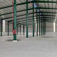 Cho thuê 2481m2 Xưởng Ngoài KCN Mỹ Phước Gía : 165 triệu