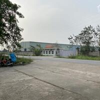 Cho thuê 8000m2-10000m2 kho xưởng và chuyển nhượng dự án 4,2ha tại xã Vạn Xuân, Tam Nông, Phú Thọ