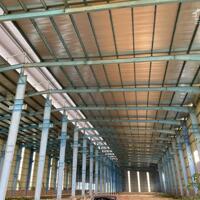 Cho thuê 8000m2-10000m2 kho xưởng và chuyển nhượng dự án 4,2ha tại xã Vạn Xuân, Tam Nông, Phú Thọ