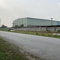 Cho thuê 8000m2-10000m2 kho xưởng và chuyển nhượng dự án 4,2ha tại xã Vạn Xuân, Tam Nông, Phú Thọ