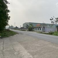 Cho thuê 8000m2-10000m2 kho xưởng và chuyển nhượng dự án 4,2ha tại xã Vạn Xuân, Tam Nông, Phú Thọ