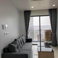 Cho thuê căn hộ 1 ngủ+ tại chung cư cao cấp Minato, giá 11tr