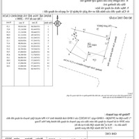 Bán Lô Góc Dường Trần Nhật Duật Hiện Trạng Rộng 16M, Trần Nguyên Hãn