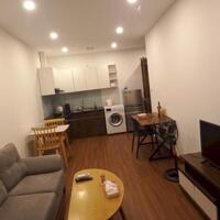 Cho thuê căn hộ dịch vụ 1 ngủ 45 m2 có ban công, giá từ 8,5tr tại phố Đào Tấn