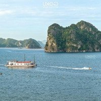 Em Cần Bán Gấp 2 Mảnh Đất View Biển Bái Tử Long - Vân Đông - Quảng Ninh Muốn Bán Gấp