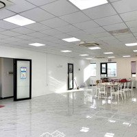 Mặt Bằng Văn Phòng Trần Hưng Đạo 200 M2