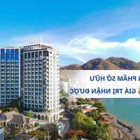 Oyster Bay Vũng Tàu Mở Bán Đợt Đầu Giá Gốcchủ Đầu Tưvới Chính Sách Cực Tốt