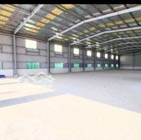 Kho- Xưởng ( 3000M2 ) Bình Chánh. Tphcm