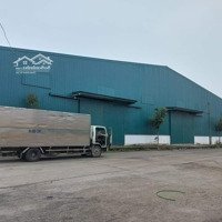 Cho Thuê Kho Xưởng Phường Lĩnh Nam, 300M, Container Đỗ, 85K/M