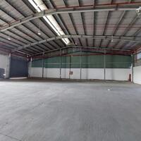 Cho thuê Kho Xưởng 700m2 Tân Kiên, Bình Chánh. Có PCCC, đường xe Cont 40f 24/24.