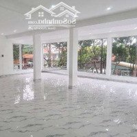 Cho Thuê Mặt Bằng Đường Yesin Cung Đường Thời Trang 220M