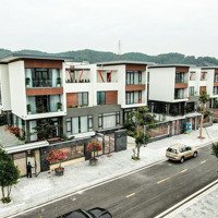 Nóng! Quỹ Hàng Lk37,38,30,35 Ngay Sát Biển Giá Chỉ Từ Hơn 2,6 Tỷ/Lô .Lô Góc View Biển ,Quảng Trường