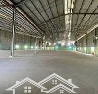 Cho Thuê Kho 4000M2 Thời Vụ Sầu Riêng