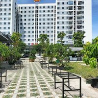 Cho Thuê Lô Đất Rất Đẹp Đường 28 Vcn Phước Long, Nha Trang.diện Tích2000M2, Ngang 40M. Giá 60 Triệu/Tháng