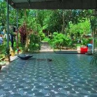 Chính Chủ Cần Tiền Mảnh Đất Hơn 5000M2 Giá Chỉ Hơn 3 Triệu/M2 Phù Hợp Làm Resort, Homestay, Camping