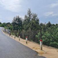 Bán đất xã Phước Lộc, Đạ Huoai, Lâm Đồng: 11,5( NH: 13m) x 94, giá 1,4 tỷ.