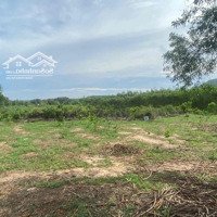 ️6200M2 Đất Thương Mại Dịch Vụ Tại: Long Mỹ, Đất Đỏ, Br-Vt.