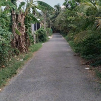 Chính Chủ Cần Bán 2.000 M2 Đất Vườn Trồng Dừa