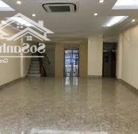 Cho Thuê Mp Đại Cồ Việt, View Công Viên Thống Nhất, Ô Tô Đỗ, Kd Đỉnh, Hiếm, 55M/2Tầng/Mt 5,3M/ 33 Triệu