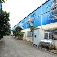 Cho Thuê Kho Xưởng 12000M2 Tp Gò Công Đông .Tỉnh Tiền Giang