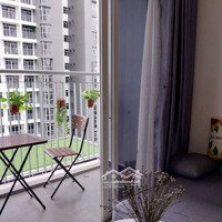 Căn Gốc View Chill, Gía Thuê Chill