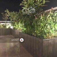 Cho Thuê Căn Hộ Penthouse Duplex Tropic Garden 5 Phòng Ngủ 3 Tổng 400M2 Không Nội Thất