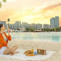 Phòng Kinh Doanh Chủ Đầu Tư Mở Bán Căn 2Pn+ Duy Nhất Còn Chiết Khấu 4% Tòa Beverly 2 Vin Oceanpark1