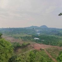 Bán Đất Đỉnh Đồi Tại Hàng Gòn - View Toàn Cảnh Tp Long Khánh