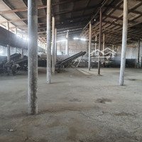 Bán Xưởng 4800M2 Và Toàn Bô Máy Mọc .Huyên Gò Công Tây