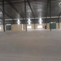 BÁN XƯỞNG 20.000M2 KHU CONG NGHIÊP TÂN ĐÔ