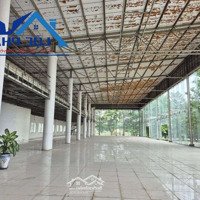 Cho Thuê Showroom Tại Thị Trấn Trảng Bom 6445M2 Giá 4,5 Đô