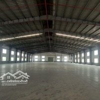 Cho Thuê Kho 1000M-2000M -3000M ... Có Pccc Tự Động Kcn Sóng Thần - Dĩ An 0907 838 118