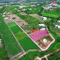 Hàng Vip 1000M² Đất Vườn 2Mt Kênh Được Chuyển Thổ Đường Xe Tải