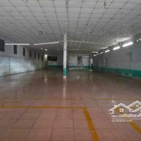 Cho Thuê Xưởng 1200M - 50 Triệu Bùi Công Trừng, Nhị Bình, Hóc Môn