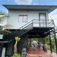 Bán Vườn Trung An.2255M², Đường Xe Hơi, Giá Bán 2 Triệu/M2,Sẵn Cây Ăn Trái