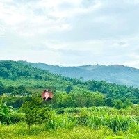 Cần Chuyển Nhượng Nhanh Diện Tích: 1150M Đất Xã Cư Yên, Lương Sơn, Hòa Bình