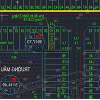 Đất Sổ Đỏ 100 M2 Khu Đô Thị Điện Thắng Trung, Điện Bàn , Quảng Nam