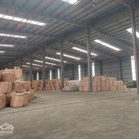 Cho Thuê Kho Xưởng Đường 379 Gần Ecopark, 1000M2 - 20.000M2, Pccc, Xuất Vat, Kho Mới, 50Nghìn/M2/Th