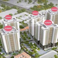 Chính Chủ Bán Shophouse Dãy Phù Hợp Kinh Doanh S 123,6 M2. Mặt Tiền 6,5M. Đã Có Sổ