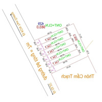 1 Ô Duy Nhất Trục Chính Thôn Cẩm Trạch Xã Đạo Tú Gần Kcn Tam Dương