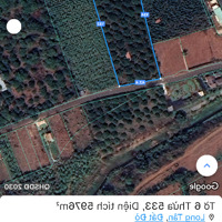 Vườn Trái Cây Long Tân, Full Sầu Riêng Chôm Chôm
