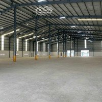 Cho Thuê Nhà Xưởng Mới Xây Diện Tích 3500 M2 Trong Kcn Tân Quy , Củ Chi , Tp. Hcm