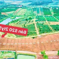 Bán 586M2 Đất Mặt Tiền Lộc Tân Gần Ngã 5 Dambri Lâm Đồng Giá Tốt