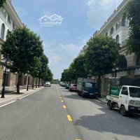 Cho Thuê Gấp Shophouse Cạnh Chung Cư Pavilions Vinhomes Ocean Park Gia Lâm