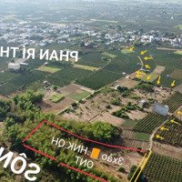 Hơn 3000M2 Đất Cây Hàng Năm View Sông Có Qh Thổ Cư Tại Phan Rí Thành. Giá Chưa Đến 1 Tỷ. Shr