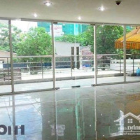 Bán Nhà 120 Vũ Tùng 10X20 , Khu Vực Xây Cao Tầng , Chỉ 30 Tỷ