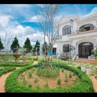 Cần Cho Thuê Căn Villa Đường Mai Anh Đào