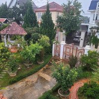 Cần Cho Thuê Căn Villa Đường Mai Anh Đào