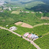 2 Lô 1 Lô 1.300M2, 1 Lô 6.800M2 Tổng 8.600M2, Hướng Nam, View Đẹp