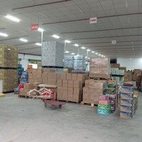 Cho Thuê Kho Xưởng 1200M2, 1700M2, 400M2 Phường Linh Trung, Gần Ngã Tư Thủ Đức, Pccc Tự Động